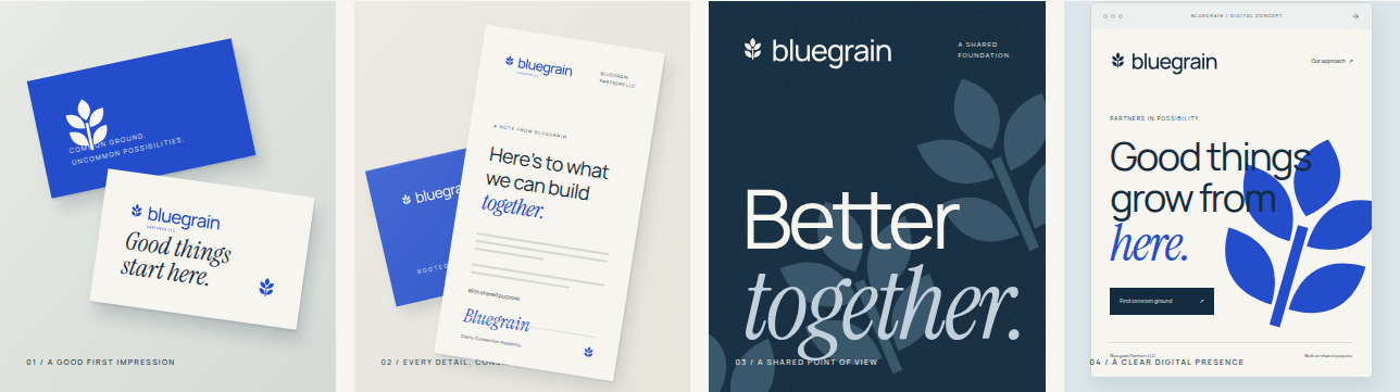 Illustrative Bluegrain business cards, letterhead, poster, and website concept